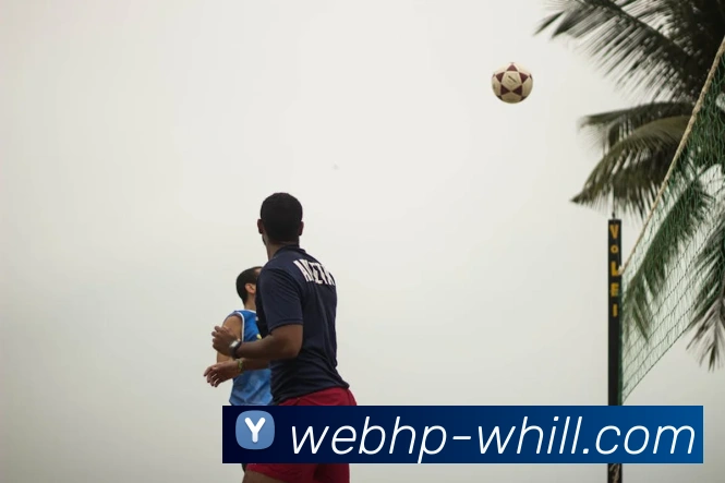 多媒体互动体验