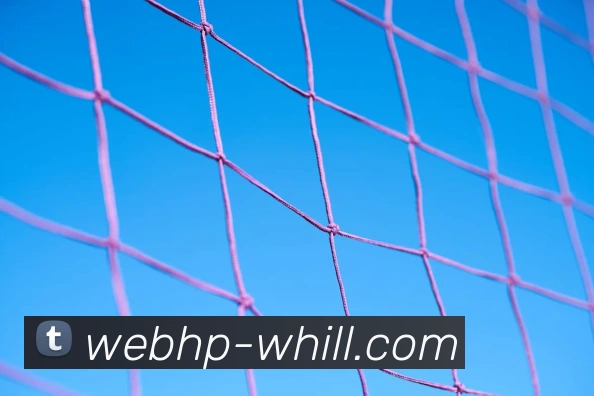 威廉希尔InternationalAPP 高清赛事图